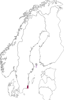 Fyndkarta för kaukasisk lundsångare. Datakälla: GBIF