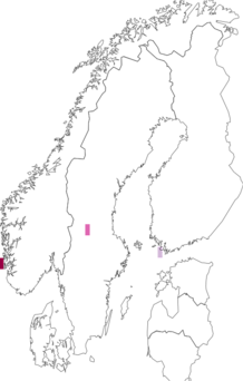 Fyndkarta för beigekindad skogstrast. Datakälla: GBIF