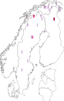 Fyndkarta för Eusphalerum lapponicum. Datakälla: GBIF