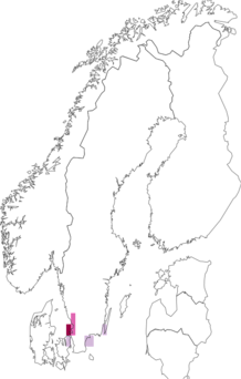 Fyndkarta för dynrödmyra. Datakälla: GBIF