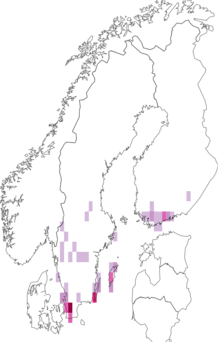 Fyndkarta för Atylotus rusticus. Datakälla: GBIF