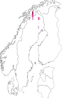 Levikukaart: Gonioctena norvegica. Andmete allikas: GBIF