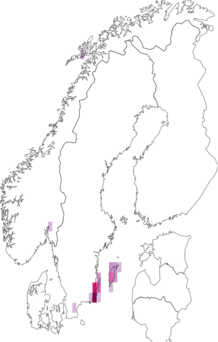Kaarta Viola pumila. Data source: GBIF