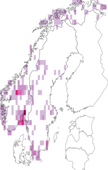 Fyndkarta för Tullbergiinae. Datakälla: GBIF