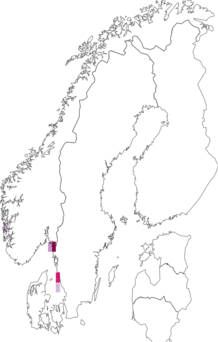 Fyndkarta för Alpheidae. Datakälla: GBIF