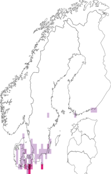 Fyndkarta för vitvingespinnare. Datakälla: GBIF