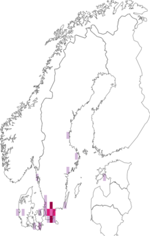 Fyndkarta för Vouauxiella lichenicola. Datakälla: GBIF