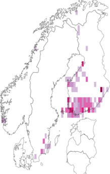 Kaarta Coleophora glaucicolella. Data source: GBIF