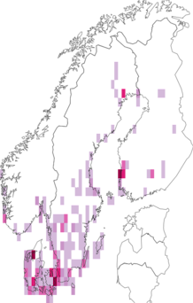 Fyndkarta för svart svan. Datakälla: GBIF