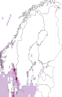 Fyndkarta för havsborstmaskar. Datakälla: GBIF