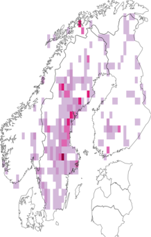 Fyndkarta för skivrörsnattsländor. Datakälla: GBIF