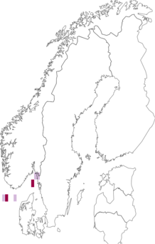Fyndkarta för knubbsjöstjärnor. Datakälla: GBIF