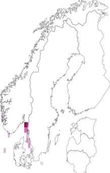 Fyndkarta för vårtsjöpung. Datakälla: GBIF