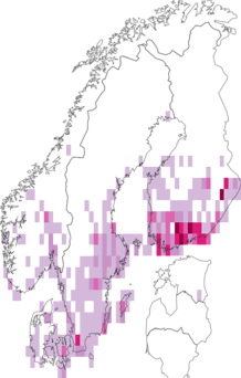Fyndkarta för vitfläckat gräsfly. Datakälla: GBIF