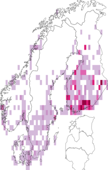 Fyndkarta för violettbandat gulvingfly. Datakälla: GBIF