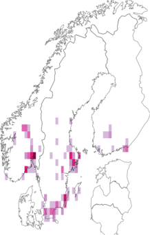 Kaarta Astenus gracilis. Data source: GBIF