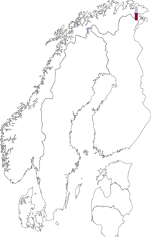 Fyndkarta för Farnoldia micropsis. Datakälla: GBIF