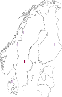 Fyndkarta för Phacopsis huuskonenii. Datakälla: GBIF