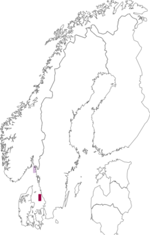 Fyndkarta för Diastylis tumida. Datakälla: GBIF