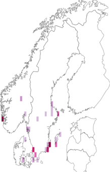 Fyndkarta för vitkantat korgblomsmott. Datakälla: GBIF