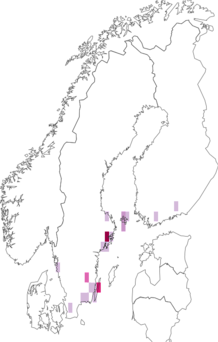 Fyndkarta för skogsalmsdvärgmal. Datakälla: GBIF