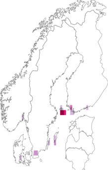 Fyndkarta för rosenknoppmal. Datakälla: GBIF