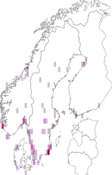 Fyndkarta för ibisar. Datakälla: GBIF