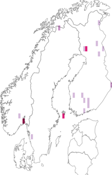 Fyndkarta för Campsicnemus compeditus. Datakälla: GBIF