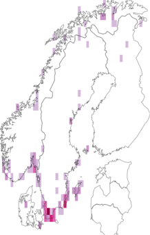 Fyndkarta för Coccinella undecimpunctata. Datakälla: GBIF