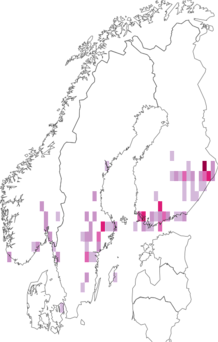 Fyndkarta för ljusskyggt kapuschongfly. Datakälla: GBIF