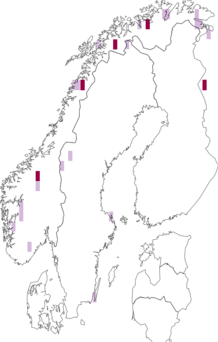 Fyndkarta för Polyblastia sendtneri. Datakälla: GBIF