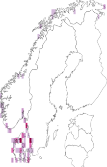 Kaarta Porphyra umbilicalis. Data source: GBIF