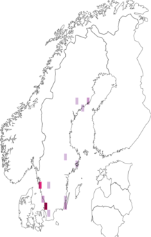 Fyndkarta för fransgaffelstövsländor. Datakälla: GBIF