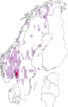 Fyndkarta för svart renlav. Datakälla: GBIF