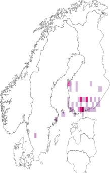 Kaarta Coleophora antennariella. Data source: GBIF