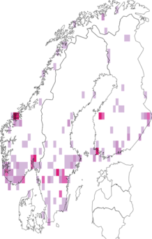 Fyndkarta för skogsrödmyra. Datakälla: GBIF