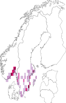 Fyndkarta för ädelguldbagge. Datakälla: GBIF