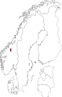 Fyndkarta för Pyrenopeziza atrata. Datakälla: GBIF