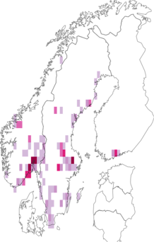 Fyndkarta för Chrysopa perla. Datakälla: GBIF