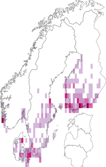 Fyndkarta för gråribbat skogsfly. Datakälla: GBIF