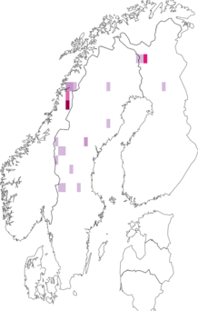 Fyndkarta för rhätiskt fjällfly. Datakälla: GBIF