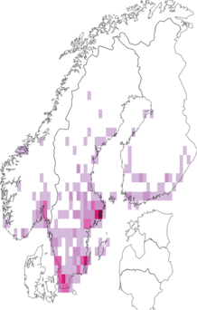 Kaarta Criocerinae. Data source: GBIF