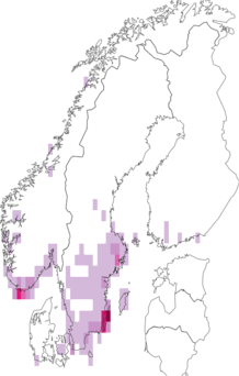 Fyndkarta för tulpaner. Datakälla: GBIF