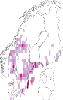Fyndkarta för rosettjungfrulin. Datakälla: GBIF