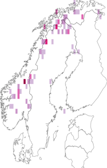 Fyndkarta för Gonioctena arctica. Datakälla: GBIF