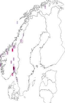 Kaarta Puccinia hieracii. Data source: GBIF