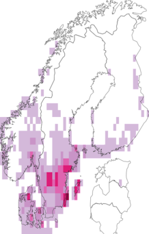 Fyndkarta för darrgrässläktet. Datakälla: GBIF