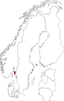 Fyndkarta för Ornatoscalpellum stroemi. Datakälla: GBIF