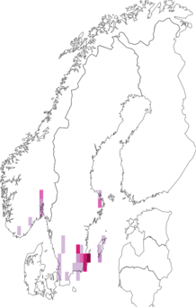 Fyndkarta för svarthårig hundäxingminerarmal. Datakälla: GBIF