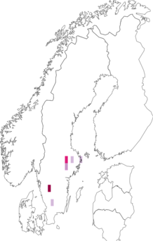 Fyndkarta för Hyalopterus pruni. Datakälla: GBIF